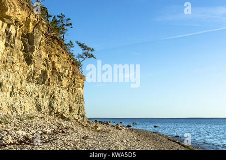 Panga falaise sur la côte de la mer Baltique à Saaremaa (Estonie Banque D'Images