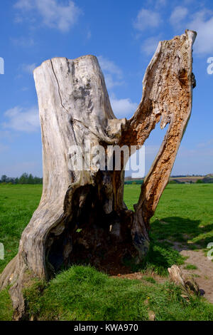 Statuesque à un arbre près de la rivière Stour, Suffolk Banque D'Images