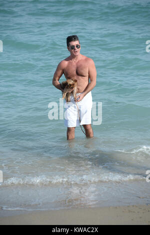 SMG Simon Cowell Lauren Silverman   FLXX Eric Cowell Beach   bébé nouveau-né 022414 16.JPG MIAMI, FL - 24 février : les nouveaux parents Simon Cowell et Lauren Silverman profitez de la plage de Miami avec leur Yorkshire Terriers, Sqiddly et Diddly. Cowell et Silverman se félicite de leur fils le jour de la Saint Valentin il y a 10 jours le 24 février 2014 à Delray Beach, en Floride. (Photo par les tempêtes Media Group) Personnes : Simon Cowell  Eric Cowell Lauren Silverman Banque D'Images