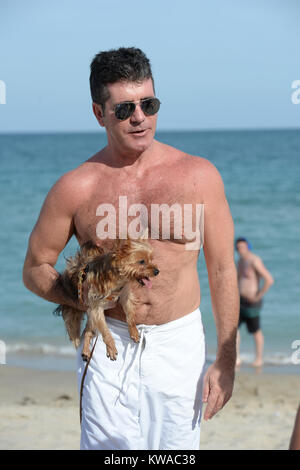 SMG Simon Cowell Lauren Silverman   FLXX Eric Cowell Beach   bébé nouveau-né 022414 21.JPG MIAMI, FL - 24 février : les nouveaux parents Simon Cowell et Lauren Silverman profitez de la plage de Miami avec leur Yorkshire Terriers, Sqiddly et Diddly. Cowell et Silverman se félicite de leur fils le jour de la Saint Valentin il y a 10 jours le 24 février 2014 à Delray Beach, en Floride. (Photo par les tempêtes Media Group) Personnes : Simon Cowell  Eric Cowell Lauren Silverman Banque D'Images