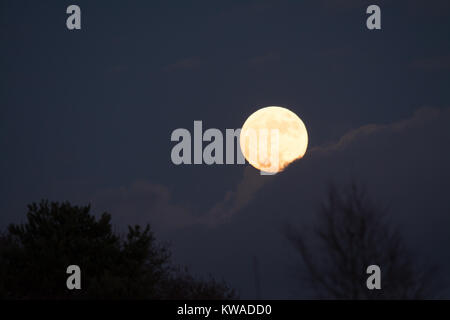 La première de 2018 s'élève à supermoon Surrey, UK. Banque D'Images