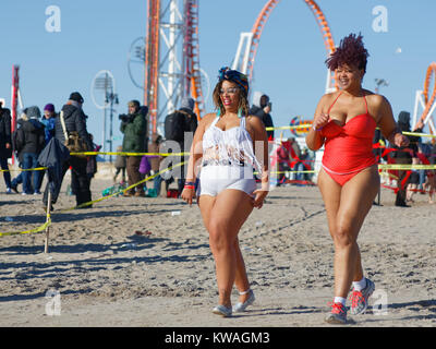 New York, USA. 06Th Jan, 2018. Coney Island NYC Ours polaire annuel dans l'Hudson River Crédit : Bob London/Alamy Live News Banque D'Images