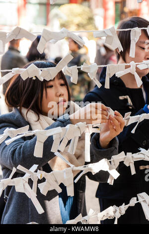 Le Japon, Nishinomiya culte. Nouvelle année. Femme pendant Hatsumode, première visite de l'année à un temple, ses liens omikuji, fortune, d'un cadre de travail. Kyo. mauvaise fortune, les fiches sont laissés sur le lieu de culte. Banque D'Images