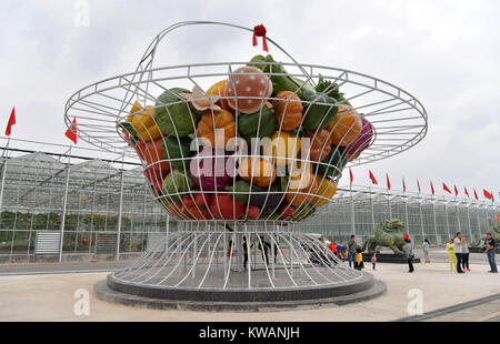 Nanchang, province de Jiangxi en Chine. 21 Oct, 2017. Les touristes visitent les légumes riches en sélénium industrial Park à l'est de la Chine, comté Shouke Business District administratif de la province, le 21 octobre 2017. La province a travaillé dur en 2017 pour gagner la bataille contre la pauvreté. Credit : Peng Zhaozhi/Xinhua/Alamy Live News Banque D'Images