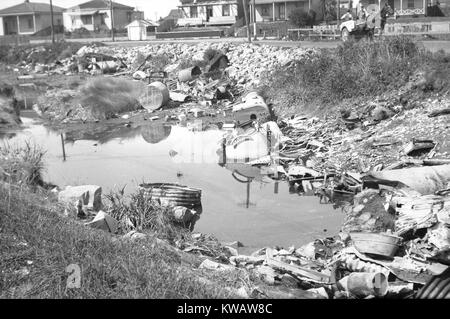 Zone de déversement du public, "La Mare aux grenouilles', Blaketown, Westland, Nouvelle-Zélande, 1930 Banque D'Images