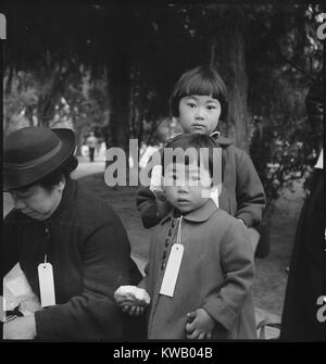 Deux filles et une femme portant des manteaux et des étiquettes d'identification, les membres de la famille Mochida en attente de bus d'évacuation lors de l'enlèvement de civils d'origine japonaise en 1942, Hayward, Californie, USA, le 8 mai 1942. L'image de courtoisie des Archives nationales. () Banque D'Images