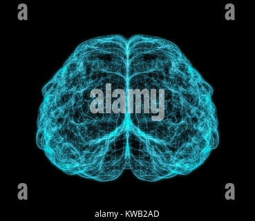 X-ray image du cerveau humain Banque D'Images