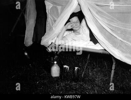 WAC américain soulève le filet sur son lit comme un flash du photographe éclaire la scène. Sur le terrain, c'est sa bouteille d'eau et des bottes. Normandie, France, 1944. La Seconde Guerre mondiale 2. (BSLOC 2014 10 206) Banque D'Images