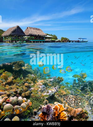 Un restaurant tropical avec des huttes au toit de chaume au-dessus de l'eau et un récif de corail avec des poissons et une tortue de mer sous l'eau, mer des Caraïbes, le Panama Banque D'Images