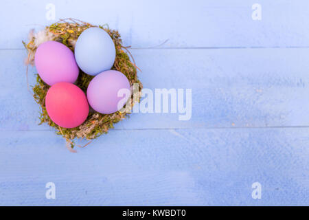 Les oeufs de Pâques colorés dans un nid sur une planche en bois bleu Banque D'Images