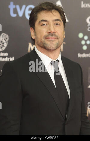 MADRID, ESPAGNE - 09 février : Carlos Bardem (Javier Bardem) et petite amie du frère de Celia Ges assiste à Goya Cinema Awards 2014 au Centro de Congresos Príncipe Felipe le 9 février 2014 à Madrid, Espagne : Javier Bardem Banque D'Images