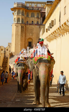 L'éléphant au Fort d'Amber, Jaipur, Inde Banque D'Images