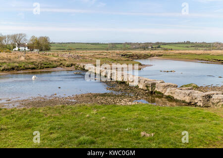 Les Géants des tremplins à travers d'Afon Braint et Swan, Newborough, Anglesey, Pays de Galles, Royaume-Uni, UK Banque D'Images