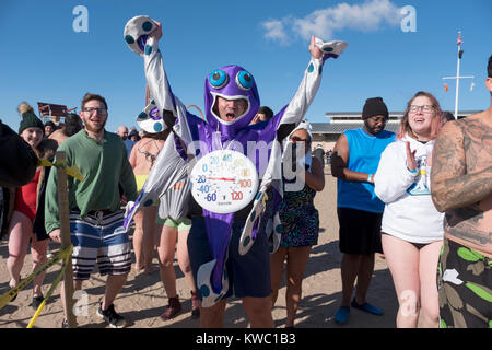 Les premiers nageurs attendre l'entrée dans l'Atlantique à la 114e Polar Bear Club le jour de l'an nager. Banque D'Images