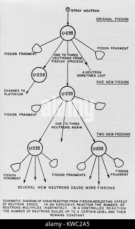 Schéma de réaction en chaîne de fission de l'uranium 235. À partir d'une publication du gouvernement des États-Unis par Henry DeWolf Smyth, ca. De 1940 à 1945. (BSLOC 2015 2 19) Banque D'Images