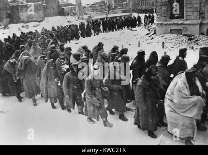 Prisonniers allemands défilent dans les rues enneigées de Stalingrad battues en janvier-février 1943. Enveloppés dans des couvertures ou quoi que ce soit d'autre pour le protéger de l'hiver, ils sont les vestiges de la 6e Armée allemande détruit. Des 107 800 soldats faits prisonniers, seulement 6000 ont été connus pour survivre à leur captivité. World War 2 (BSLOC   2015 13 111) Banque D'Images