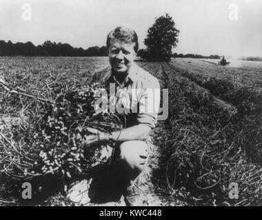 Ancien gouverneur de la Géorgie, et futur Président Jimmy Carter sur sa ferme d'arachide en 1976. Il a hérité de la ferme de son père en 1953, et en a fait le succès de l'entreprise prospère. (BSLOC   2015 14 67) Banque D'Images