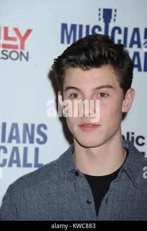 NEW YORK, NY - 18 novembre : Shawn Mendes assiste aux musiciens sur l'appel à l'espace de célébration du 15e anniversaire le 18 novembre 2014 à New York. People : Shawn Mendes Banque D'Images