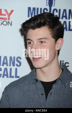 NEW YORK, NY - 18 novembre : Shawn Mendes assiste aux musiciens sur l'appel à l'espace de célébration du 15e anniversaire le 18 novembre 2014 à New York. People : Shawn Mendes Banque D'Images