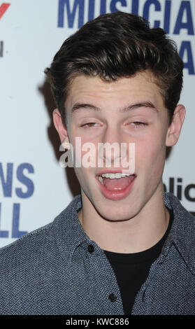 NEW YORK, NY - 18 novembre : Shawn Mendes assiste aux musiciens sur l'appel à l'espace de célébration du 15e anniversaire le 18 novembre 2014 à New York. People : Shawn Mendes Banque D'Images