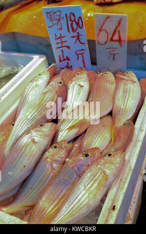 L'alimentation de rue avec du poisson frais et des fruits de mer en vente au marché asiatique à Hong Kong, Chine Banque D'Images