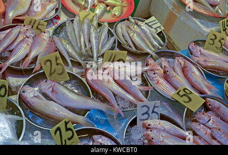 L'alimentation de rue avec du poisson frais et des fruits de mer en vente au marché asiatique à Hong Kong, Chine Banque D'Images