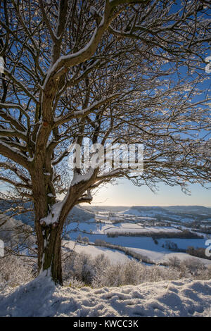 La vue depuis le pic à long Coaley Came Down après neige, Gloucestershire, Royaume-Uni Banque D'Images