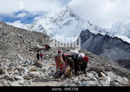 Himalaya, Népal, Nov 2017 - Un Sherpa porteurs dans le parc Sagarmatha sur le chemin de la base de l'Everest Banque D'Images