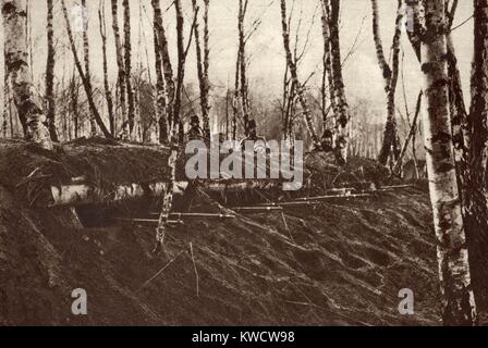 La Seconde Guerre 1 dans l'italien et l'Alpes autrichiennes. Museaux des armes à feu qui sort de l'herbe d'une tranchée couverte. Derrière, l'un des tireurs autrichiens sont titulaires d'un crâne humain, sur le Monte Grappa/en Italie. Ca. 1915-1917. (BSLOC 2013 1 28) Banque D'Images