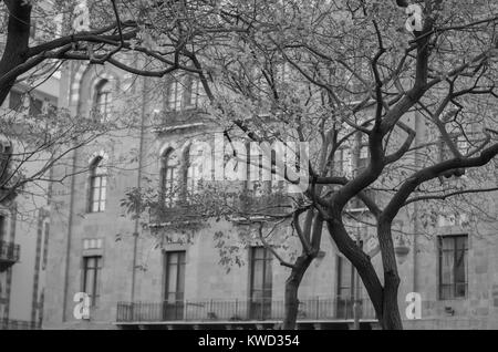 Centre de Beyrouth, capitale du Liban, d'arbres et l'architecture typique, de Libanais d'arcs. Banque D'Images