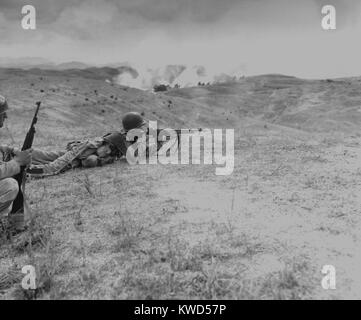 Un "turkey shoot" a mis fin à la première bataille de la rivière Naktong. Les feux des marines un fusil automatique sur les Nord-coréens se retirant à travers les champs de riz dans la vallée de la rivière Naktong. 19 août, 1950. Bataille de périmètre de Pusan, guerre de Corée, 1950-1953. (BSLOC   2014 11 23) Banque D'Images