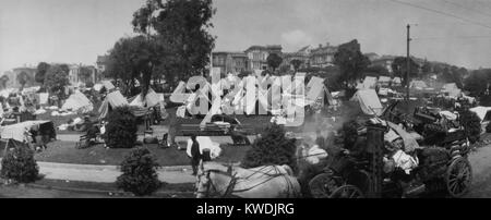 Dans la ville de tentes Jefferson Square, San Francisco, après le 18 avril 1906, 3 jours de tremblement de terre et incendie. Chariot avec récupération de marchandises passe par de l'avant-plan, mai 1906. Dans le parc, les gens se mettre à jour leur BSLOC  2017 (17 43) Banque D'Images
