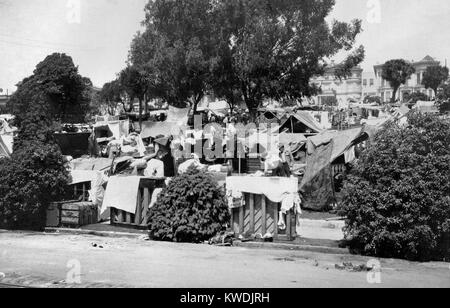 Dans la ville de tentes Jefferson Square, San Francisco, le 20 avril 1906 après le 18 avril 1906, séisme. Le camp a donné refuge à long terme pour 1500-2000 les gens jusqu'à ce qu'il a été fermé en octobre 1907 (BSLOC   2017 17 44) Banque D'Images