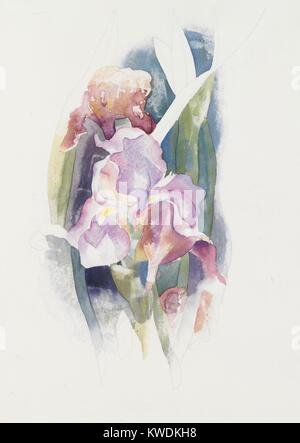 IRIS MAUVE, par Charles Demuth, c. 1920, peinture, aquarelle, américain et graphite sur carton. Demuths dépeint les iris avec bords, naturaliste et linéaire plus subtiles entre les bords à l'intérieur de la couleur brossé formes lumineuses (BSLOC 2017 7 95) Banque D'Images