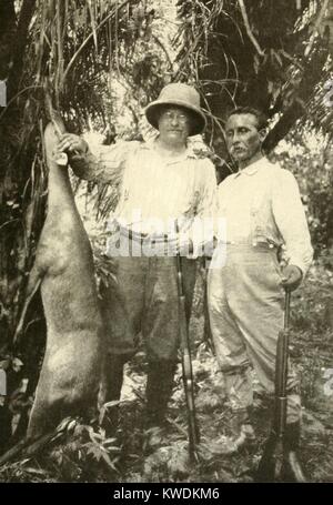 Les colonels Roosevelt et Rondon avec bush deer ils ont tués pour fournir l'expédition avec de la nourriture. Janv.-févr. 1914. L'état brésilien de Rondônia est nommé pour sa protection humanitaire des peuples autochtones (Brésil BSLOC 2017 8 60) Banque D'Images