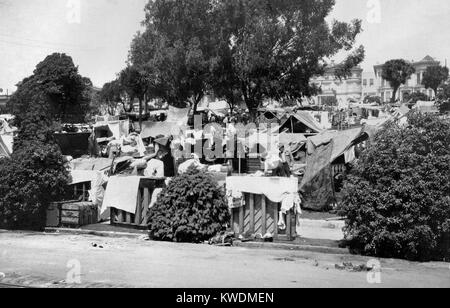 Dans la ville de tentes Jefferson Square, San Francisco, le 20 avril 1906 après le 18 avril 1906, séisme. Le camp a donné refuge à long terme pour 1500-2000 les gens jusqu'à ce qu'il a été fermé en octobre 1907 (BSLOC   2017 17 44) Banque D'Images