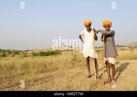 Deux commerçants en chameau turbans orange avec leurs troupeaux paître dans la brousse près de la foire annuelle de Pushkar Camel, Pushkar, Rajasthan, India Banque D'Images