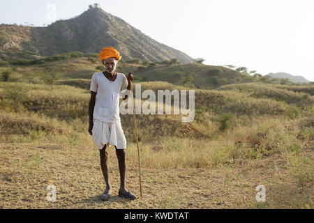 Un commerçant de chameau avec son troupeau paissant dans la brousse près de la foire annuelle de Pushkar Camel, Pushkar, Rajasthan, India Banque D'Images