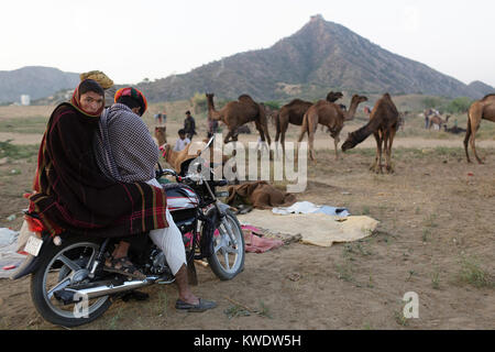 Scène à Pushkar Camel Fair, deux commerçants couverts avec des couvertures sur une moto, matin, Rajasthan, Inde Banque D'Images