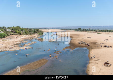 La population locale et de l'élevage s'appuient sur les ressources en eau dans la rivière Mandraré, qui est presque à sec à la fin de saison sèche. Madagascar, l'Afrique. Banque D'Images