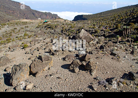 Barranco camp sur le mont Kilimandjaro Banque D'Images