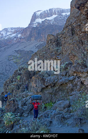 Porteurs sur le mur de Barranco sur Kilimandjaro Banque D'Images