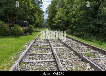 Plan incliné n° 6, partie de l'Allegheny Portage Railroad National Historic Site, Blair county, Pennsylvania, United States. Banque D'Images