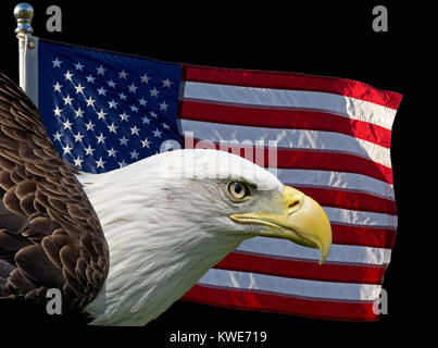 Image composite de deux symboles le drapeau américain et le Pygargue à tête blanche. Banque D'Images