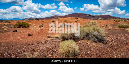 Painted Desert, Arizona San Francisco Peaks, Arizona Sunset Crater Scenic Drive Banque D'Images