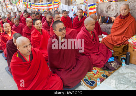 Moines priant au pied de l'arbre de la Bodhi (où le Bouddha est dit avoir obtenu l'illumination) à l'ensemble du Temple de la Mahabodhi à Bodhgaya, Inde Banque D'Images