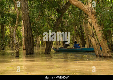 Deux peuples asiatiques sur un bleu bateau, explorer la forêt noyée arbres inondés flottant dans Kampong Phluk, Siem Reap, Cambodge, Asie du Sud Est. Banque D'Images