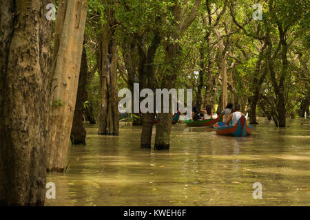 Groupe de touristes d'être pagayé sur un bateau canot dans l'inconnu de la forêt noyée inondées flottante d'un arbre en Kampong Phluk, Siem Reap, Cambodge Banque D'Images