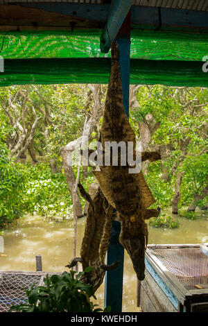 Deux peaux de crocodile et chefs, tête en bas pour sécher, sur un restaurant flottant qui sert de la viande de crocodile, Kampong Phluk, Siem Reap, Cambodge Banque D'Images