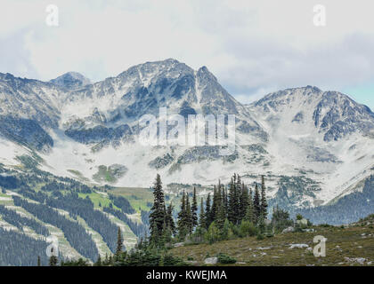 L'été sur les montagnes de Whistler Blackcomb en Colombie-Britannique & nuages brouillard enveloppent les sapins et pins / téléphériques gondole - station de ski olympique Banque D'Images